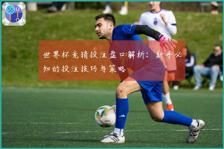 世界杯竞猜投注盘口解析：新手必知的投注技巧与策略