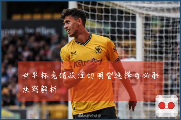 世界杯竞猜投注的明智选择与必胜诀窍解析