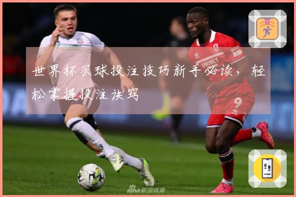 世界杯买球投注技巧新手必读，轻松掌握投注诀窍