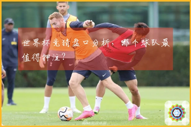 世界杯竞猜盘口分析，哪个球队最值得押注？