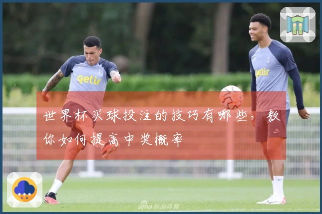 世界杯买球投注的技巧有哪些，教你如何提高中奖概率