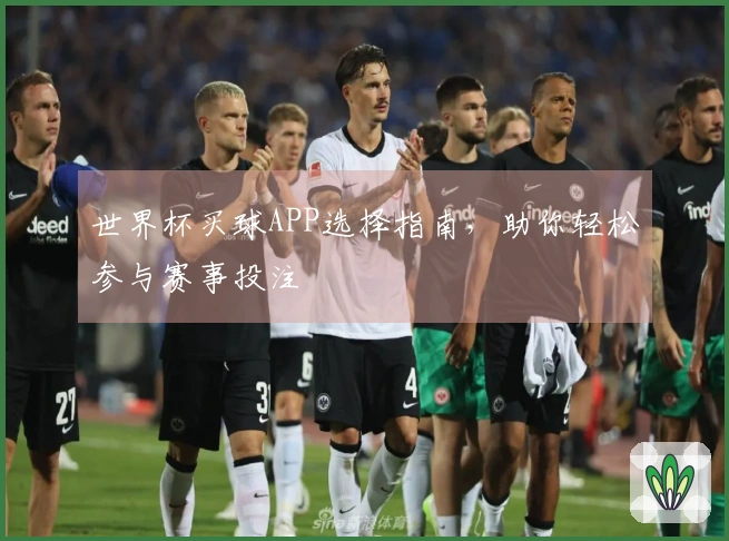 世界杯买球APP选择指南，助你轻松参与赛事投注