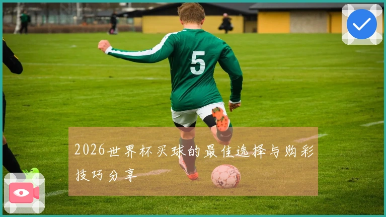 2026世界杯买球的最佳选择与购彩技巧分享
