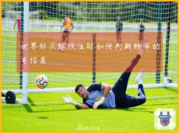 世界杯买球投注时如何判断赔率的可信度
