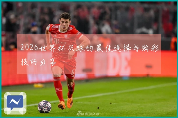 2026世界杯买球的最佳选择与购彩技巧分享
