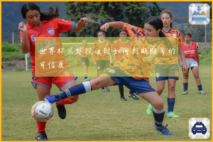 世界杯买球投注时如何判断赔率的可信度