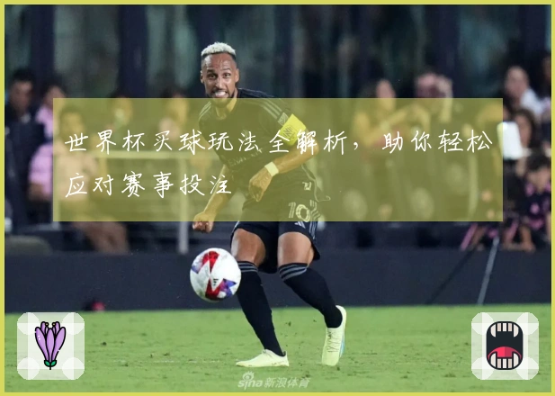 世界杯买球玩法全解析，助你轻松应对赛事投注