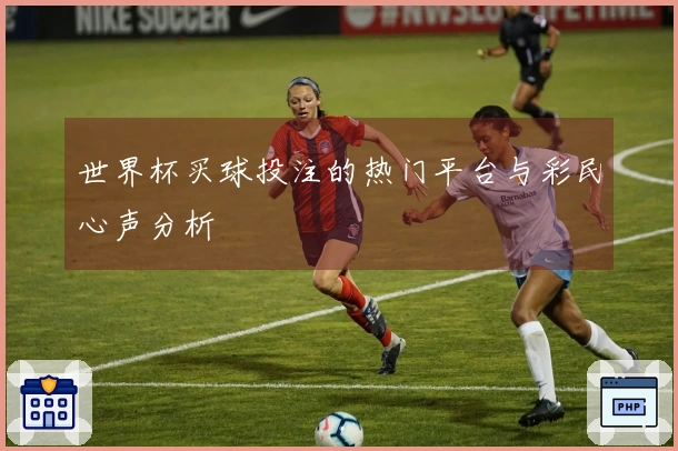 世界杯买球投注的热门平台与彩民心声分析