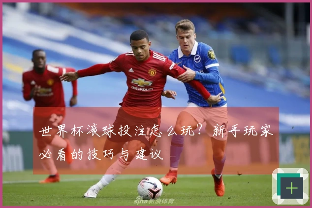 世界杯滚球投注怎么玩？新手玩家必看的技巧与建议