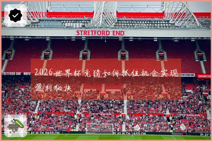 2026世界杯竞猜如何抓住机会实现盈利秘诀