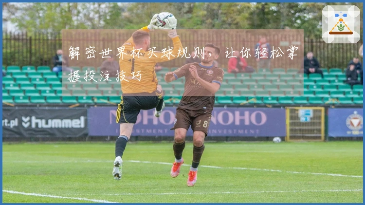 解密世界杯买球规则，让你轻松掌握投注技巧