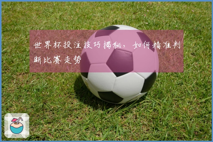 世界杯投注技巧揭秘，如何精准判断比赛走势