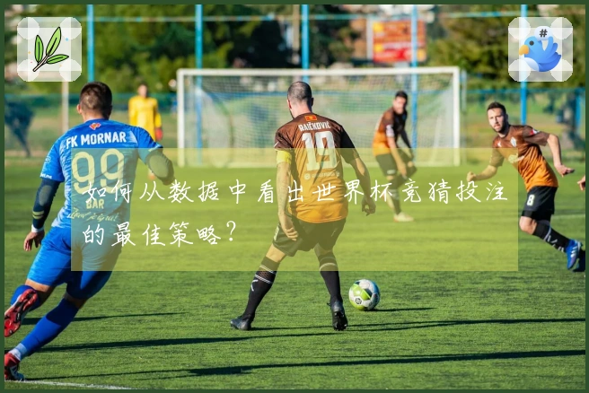 如何从数据中看出世界杯竞猜投注的最佳策略?