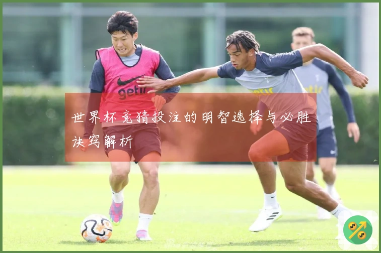 世界杯竞猜投注的明智选择与必胜诀窍解析